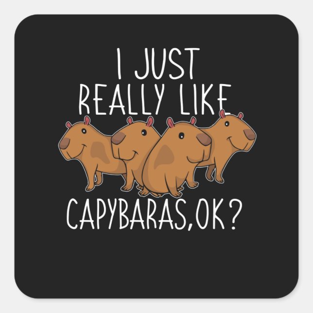 Capybara Gift Kids Women Cute Capybara Square Sticker (Front)