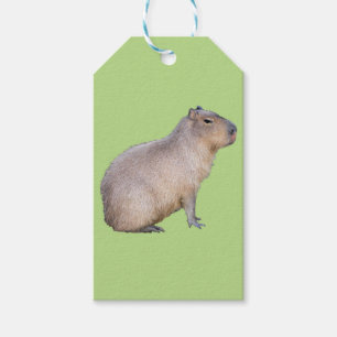 Capybara Gift Tags