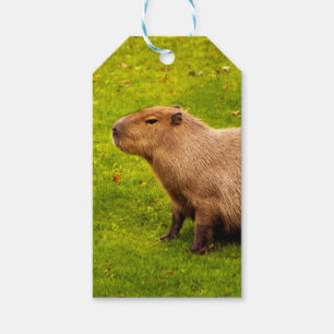 Capybara Gift Tags
