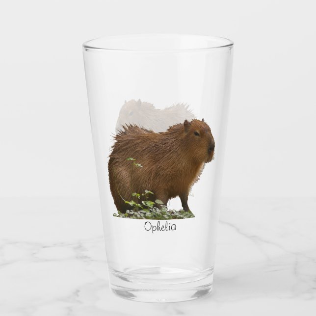 Capybara Glass (Front)