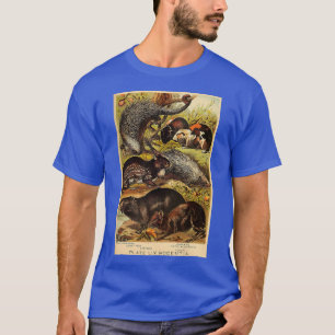 Capybara - Guinea Pig - Porcupine Vintage Animal L T-Shirt