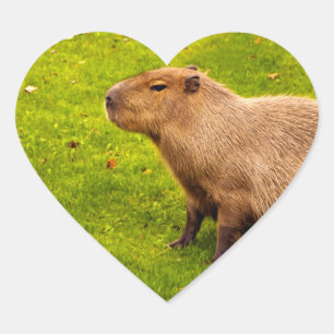 Capybara Heart Sticker