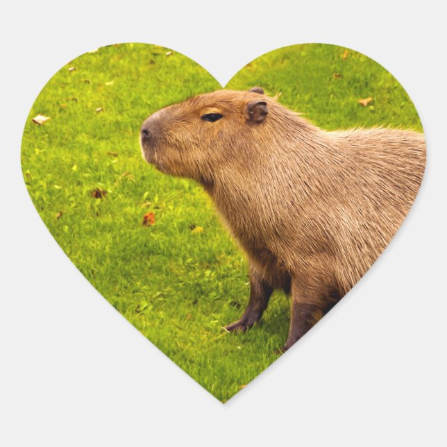 Capybara Heart Sticker (Front)