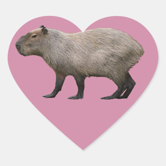 Capybara Heart Sticker (Front)