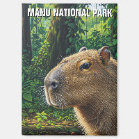 Capybara in Manu National Park Peru