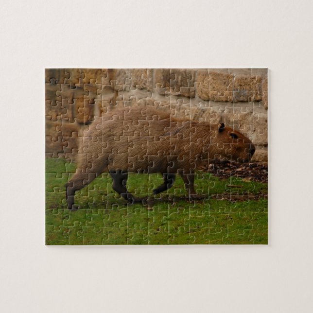 capybara jigsaw puzzle (Horizontal)