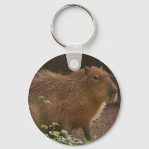 Capybara Key Ring