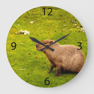 Capybara Large Clock