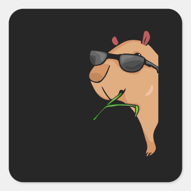 Capybara Lover Women Capybara Gift Men Capybara Square Sticker (Front)