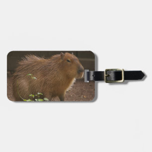 Capybara Luggage Tag