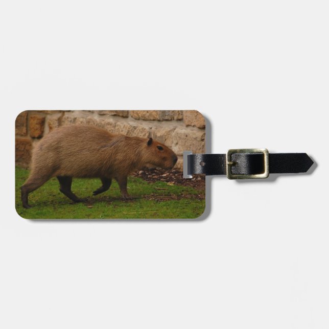 capybara luggage tag (Front Horizontal)