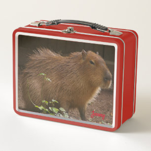 Capybara Metal Lunch Box