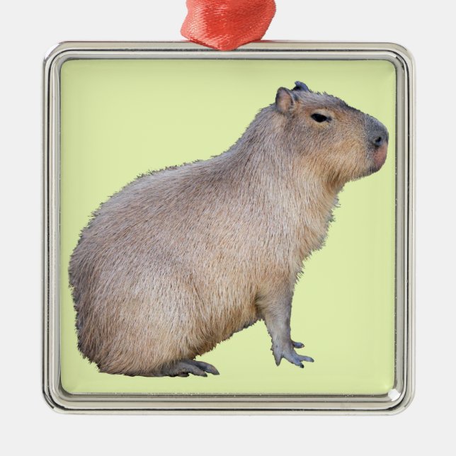 Capybara Metal Ornament (Front)