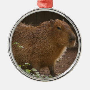 Capybara Metal Tree Decoration