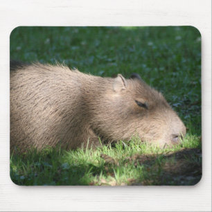 Capybara Mouse Pad