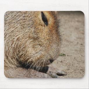 Capybara Mouse Pad