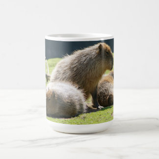 Capybara Mug