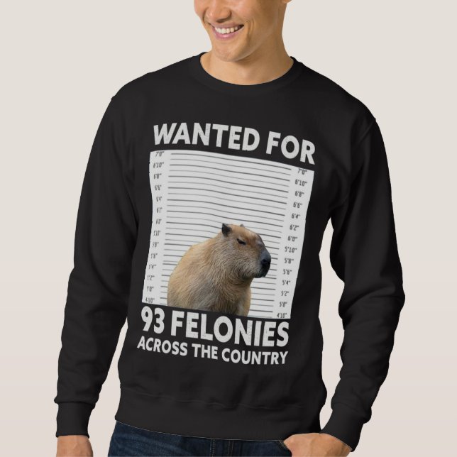 Capybara Mugshot Wanted For 93 Felonies Across The Sweatshirt (Front)