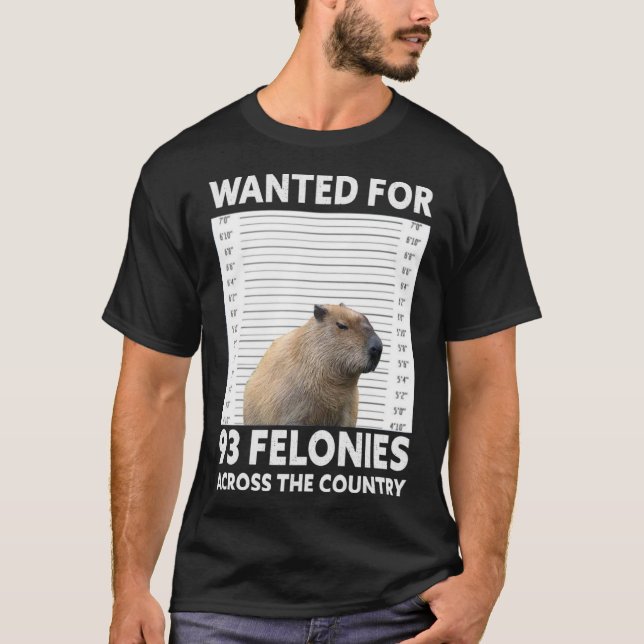 Capybara Mugshot Wanted For 93 Felonies Across The T-Shirt (Front)