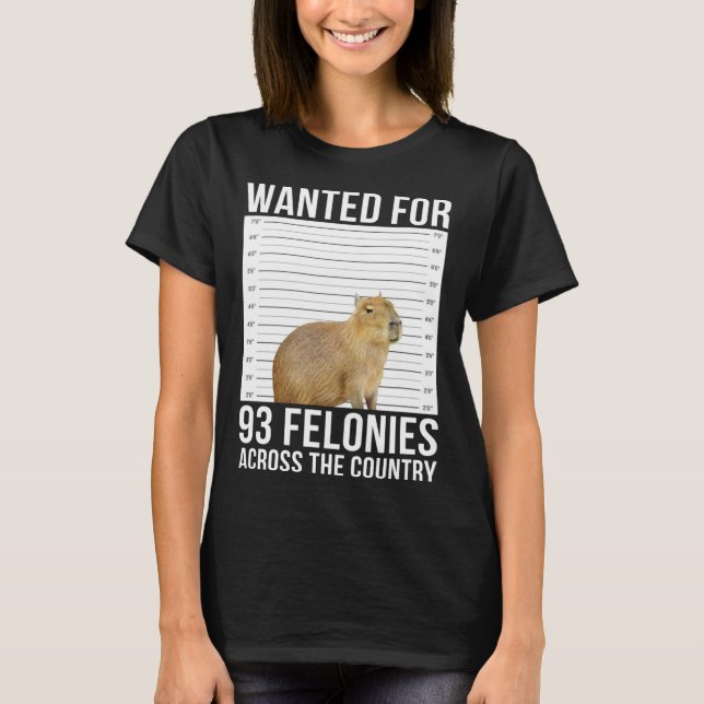 Capybara Mugshot Wanted For 93 Felonies Across The T-Shirt (Front)
