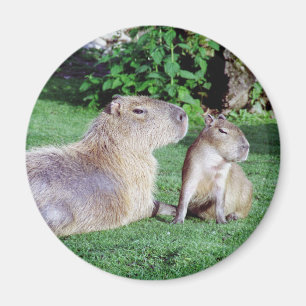 Capybara Mum and Son Magnet