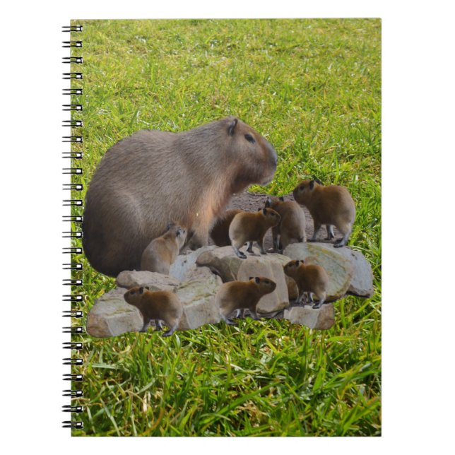 Capybara Mummy With Babies, Notebook (Front)