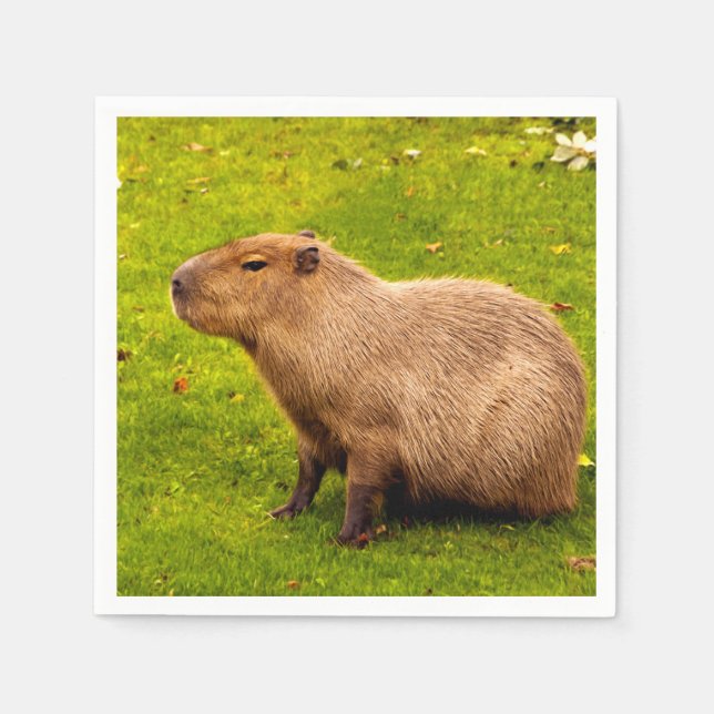 Capybara Napkin (Front)