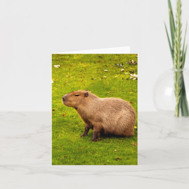 Capybara Note Card (Front)