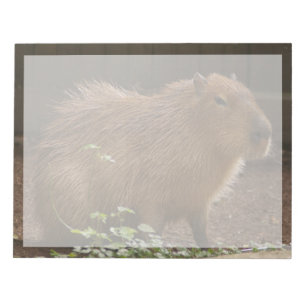 Capybara Notepad