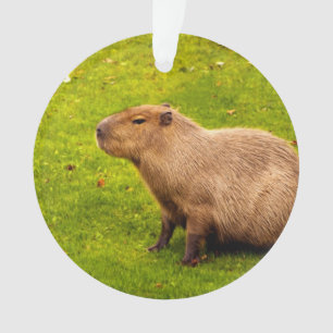 Capybara Ornament