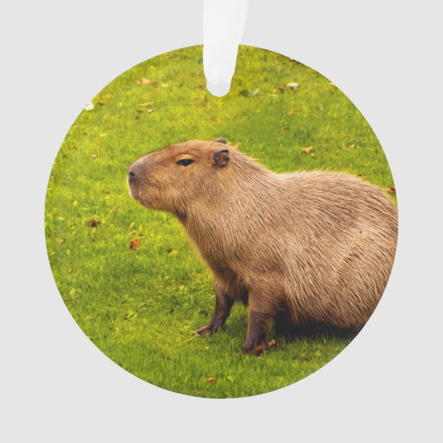 Capybara Ornament (Front)