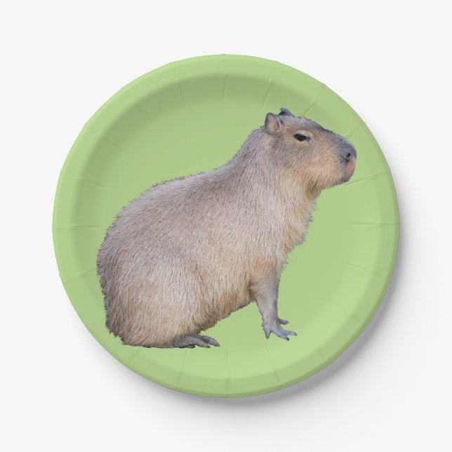 Capybara Paper Plate (Front)