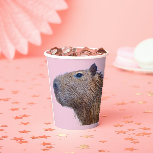 Capybara Paper Plates Paper Cups (Insitu)