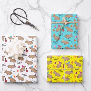 Capybara Personalised Birthday Hand-Illustrated Wrapping Paper Sheet