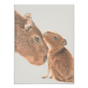 Capybara Photo Print