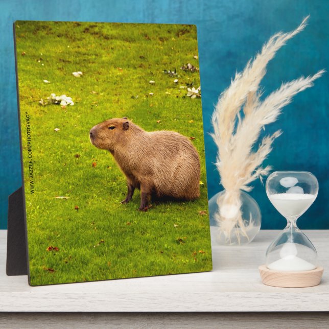 Capybara Plaque (Side)