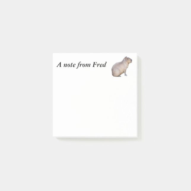 Capybara Post-it Notes (Front)