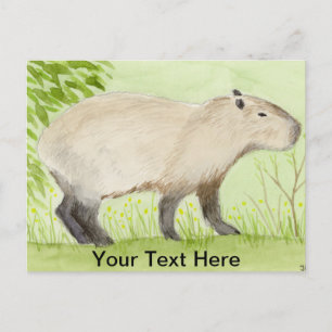 Capybara Postcard