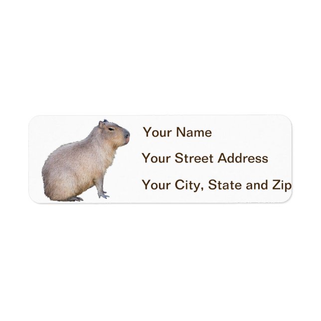 Capybara Return Address Label (Front)