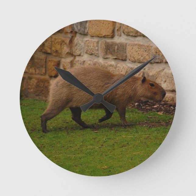 capybara round clock (Front)