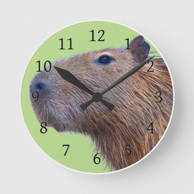 Capybara Round Clock (Front)