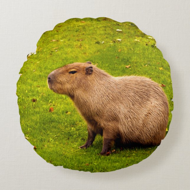 Capybara Round Cushion (Front)