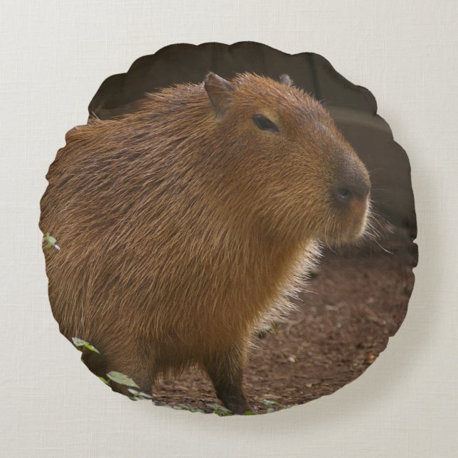 Capybara Round Cushion (Front)