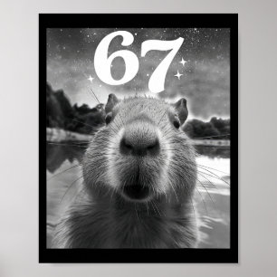 Capybara Selfie With 67 Meme Capy Graphic For Men  Poster