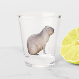 Capybara Shot Glass