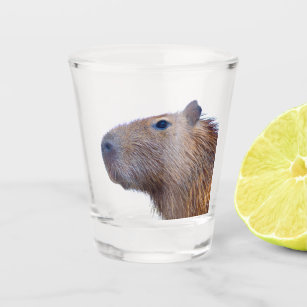 Capybara Shot Glass