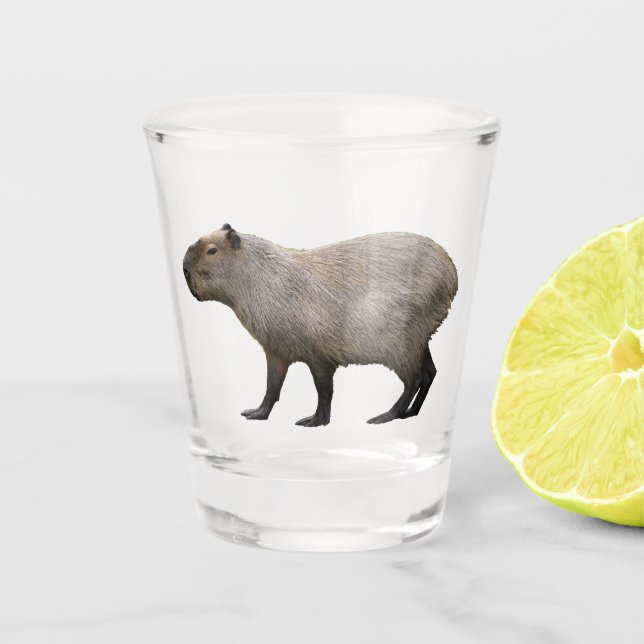 Capybara Shot Glass (Front)