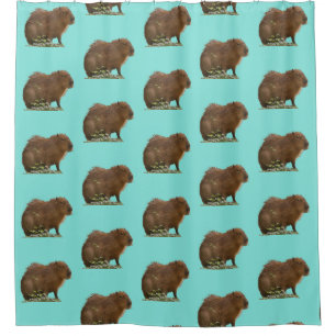 Capybara Shower Curtain