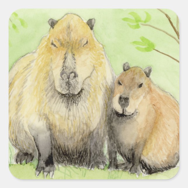 Capybara Square Sticker (Front)