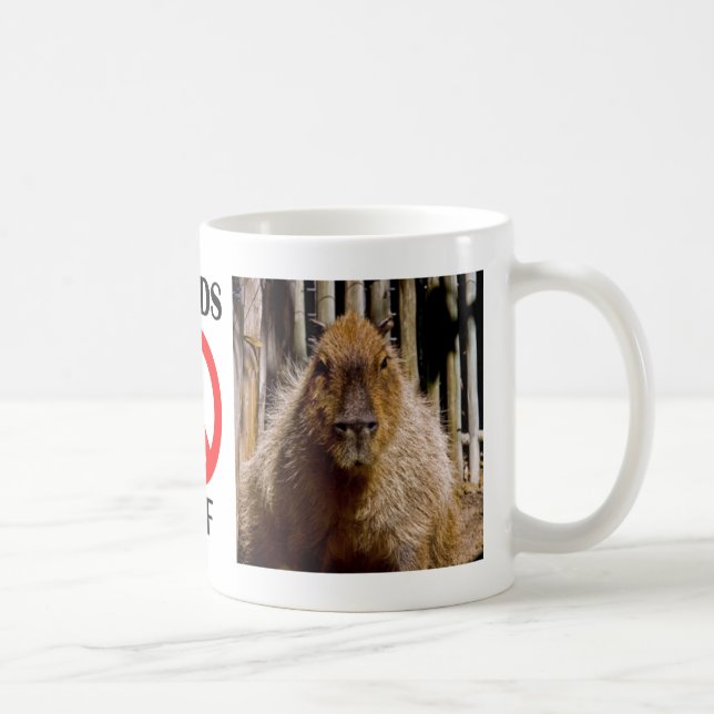 Capybara Staring Coffee Mug (Right)